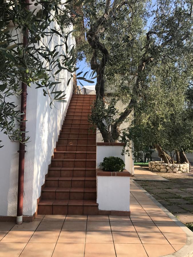 Apollo Villa Mattinata Eksteriør bilde
